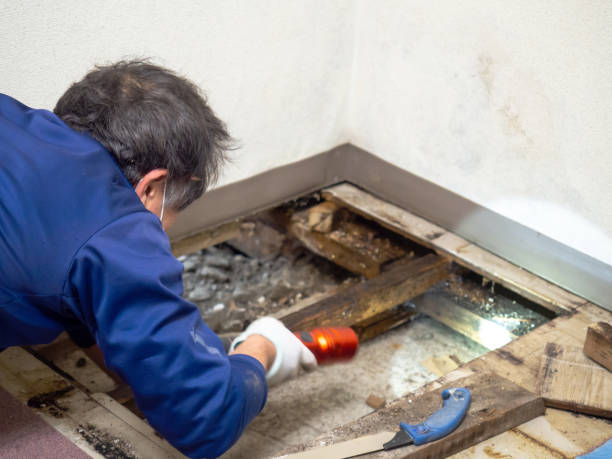 Crawl Space Mold Removal in Merton, WI
