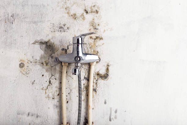 Best Mold Cleaning Services  in Merton, WI