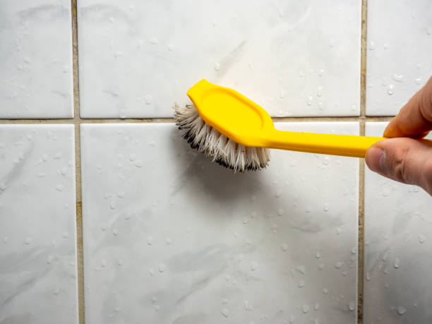 Best Emergency Mold Removal  in Merton, WI