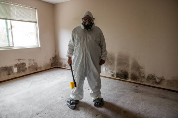 Best Attic Mold Removal  in Merton, WI